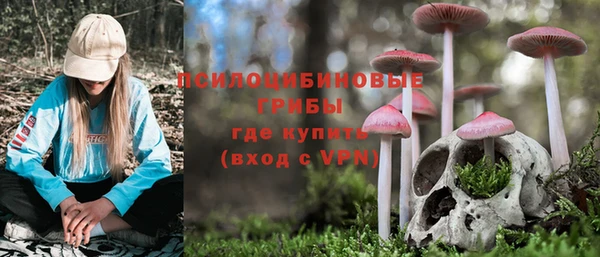 Альфа ПВП Абаза