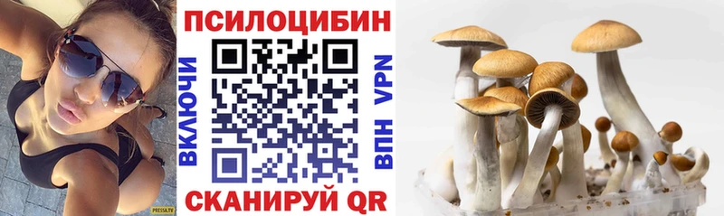 даркнет сайт Отрадный mega ТОР Псилоцибиновые грибы прущие грибы