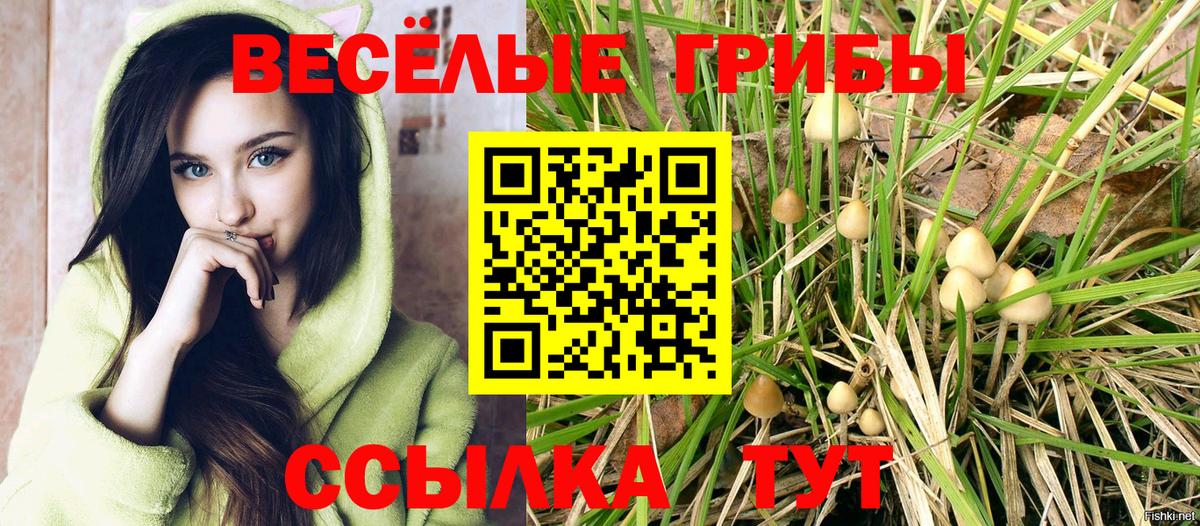 Псилоцибиновые грибы Psilocybe Отрадный