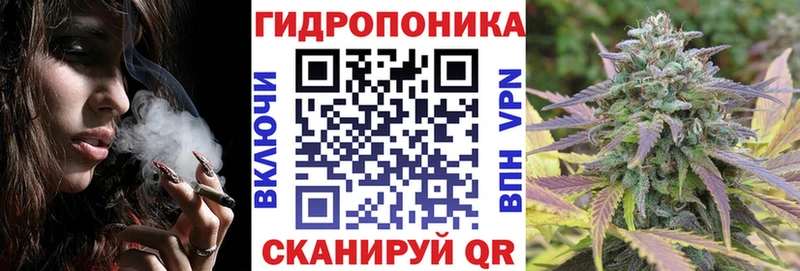 Бошки Шишки Amnesia Отрадный